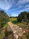 Moderný Land v Denia – Costa Blanca