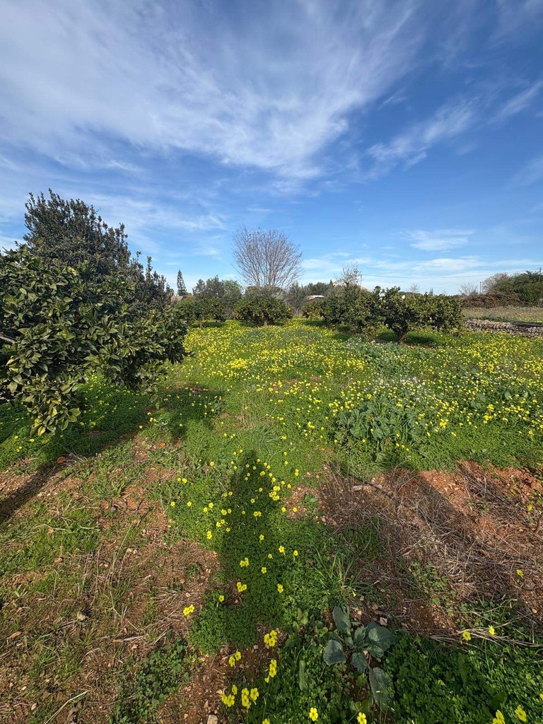 Moderný Land v Denia – Costa Blanca