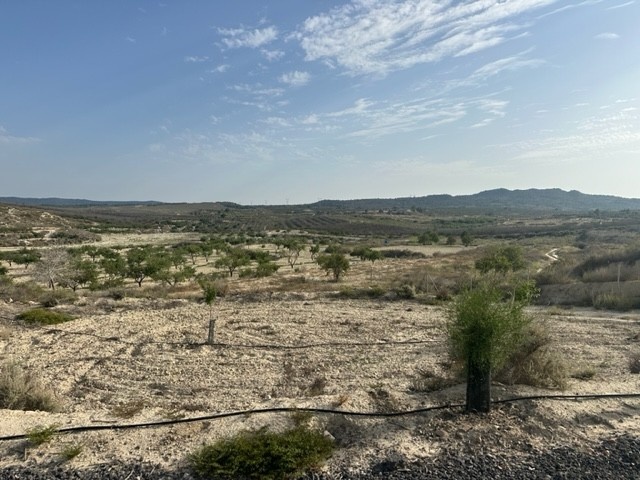 Moderný Land v Torremendo – Costa Blanca