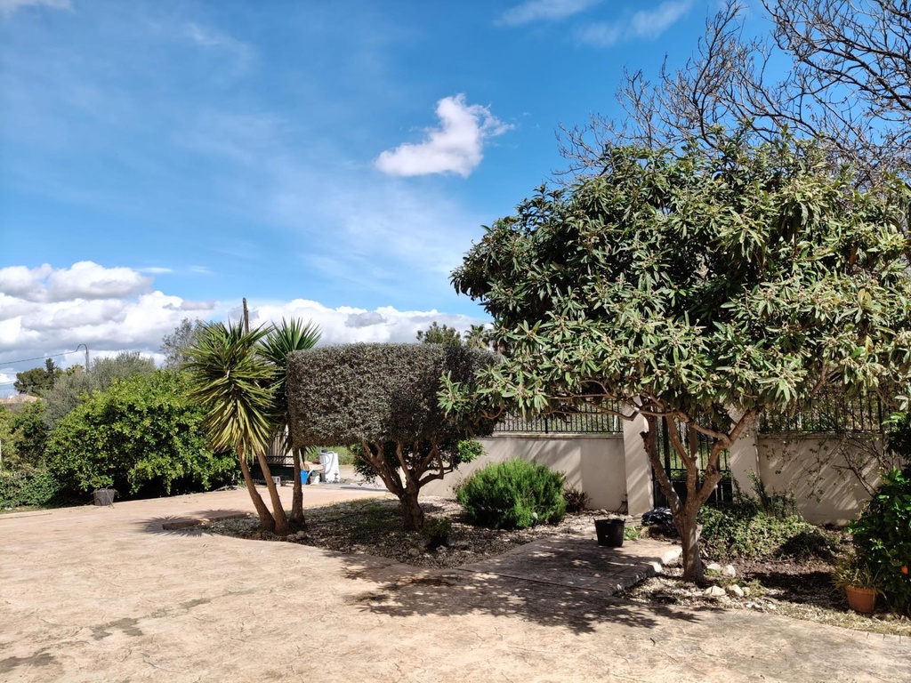 Finca v El Palmar s bazénom