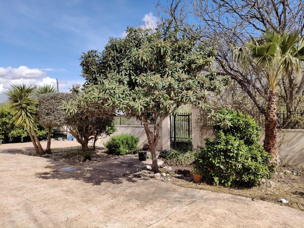 Finca v El Palmar s bazénom