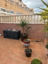 Moderný bungalow v Orihuela Costa – Los Almendros-la Florida