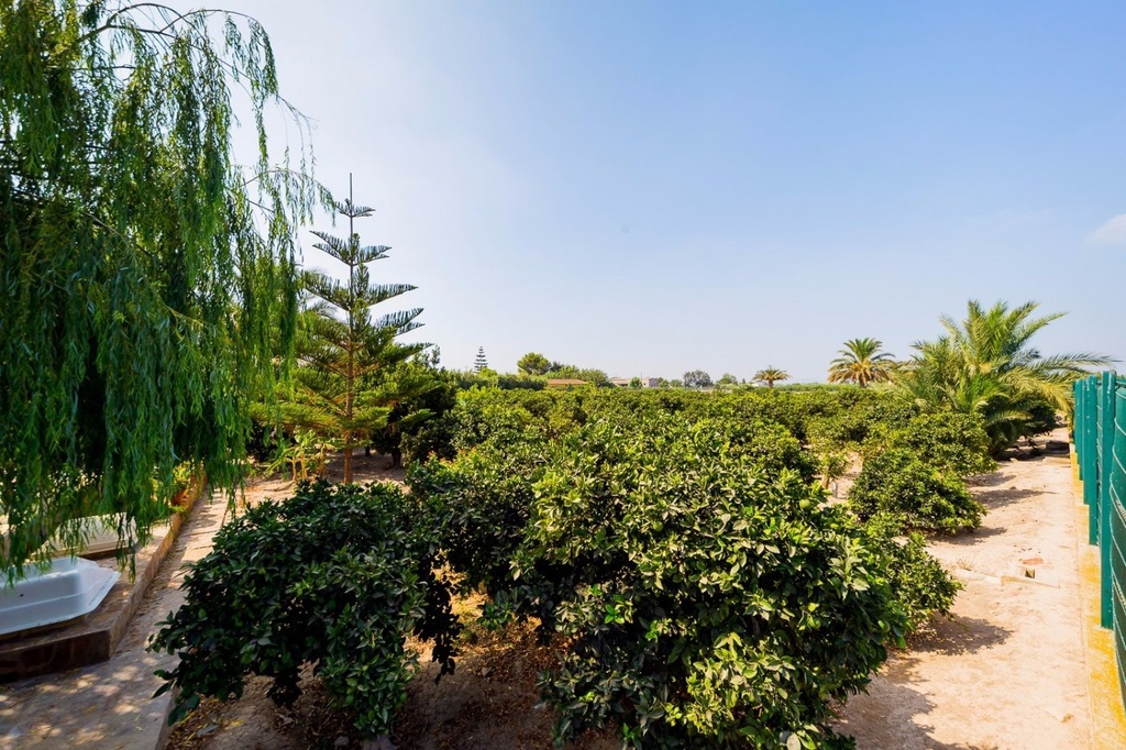 Luxusný Finca v Almoradi – Camino De Catral