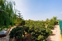 Luxusný Finca v Almoradi – Camino De Catral