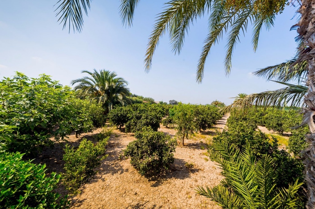 Luxusný Finca v Almoradi – Camino De Catral