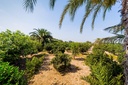 Luxusný Finca v Almoradi – Camino De Catral