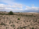 Moderný Land v Yecla – Inland