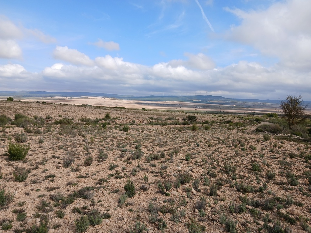 Moderný Land v Yecla – Inland