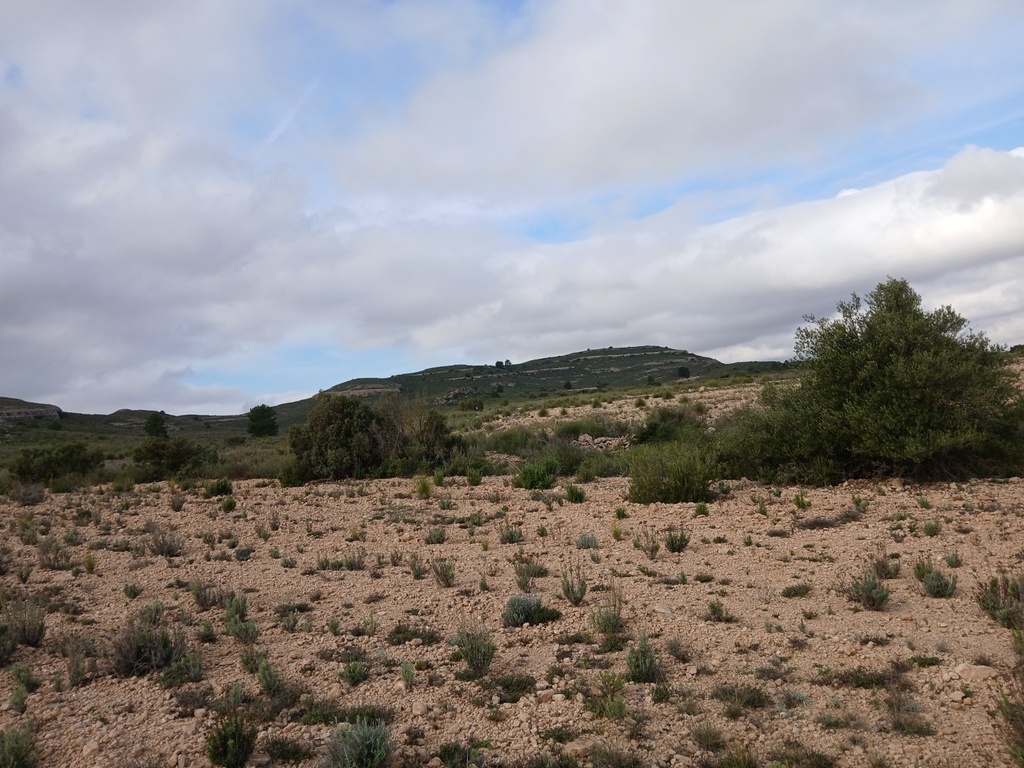 Moderný Land v Yecla – Inland