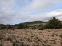Moderný Land v Yecla – Inland