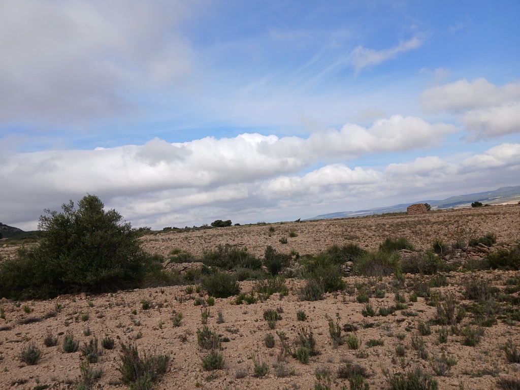Moderný Land v Yecla – Inland