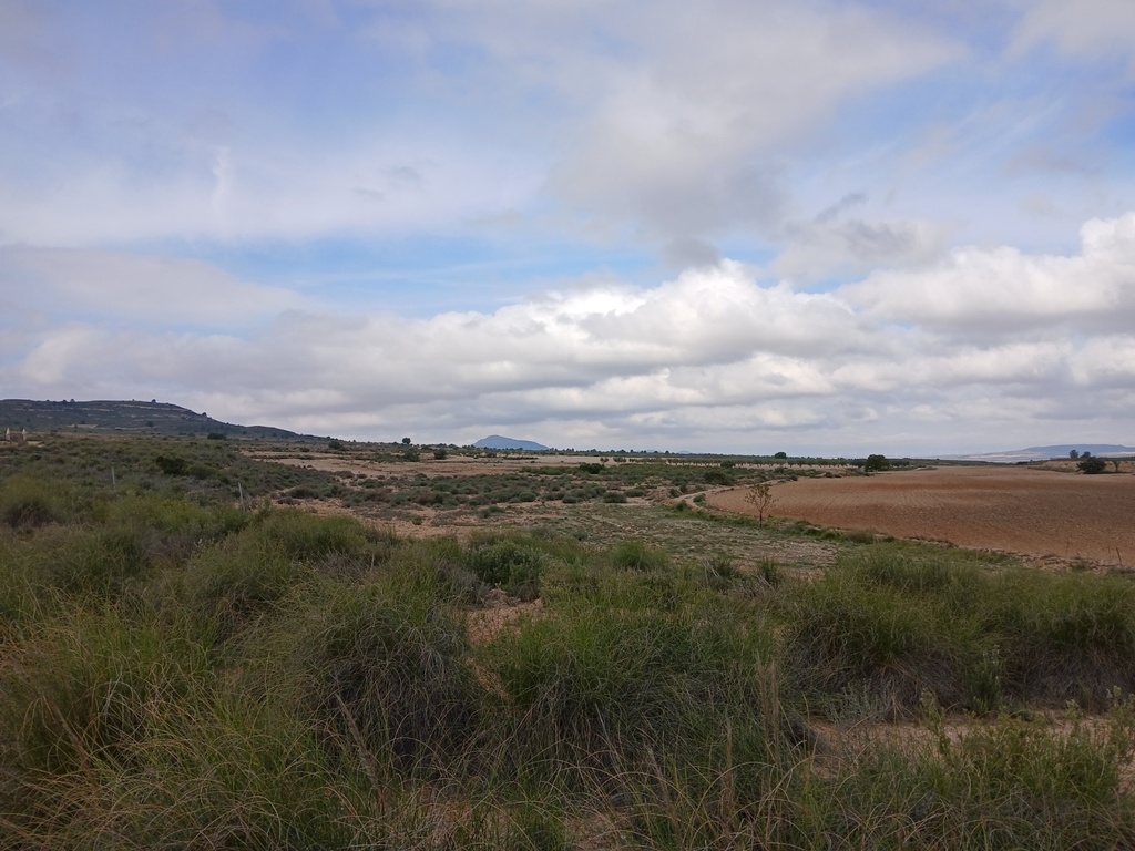 Moderný Land v Yecla – Inland