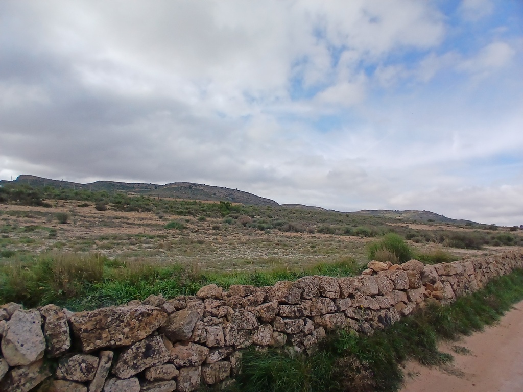 Moderný Land v Yecla – Inland