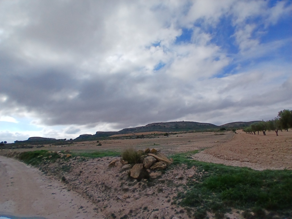 Moderný Land v Yecla – Inland