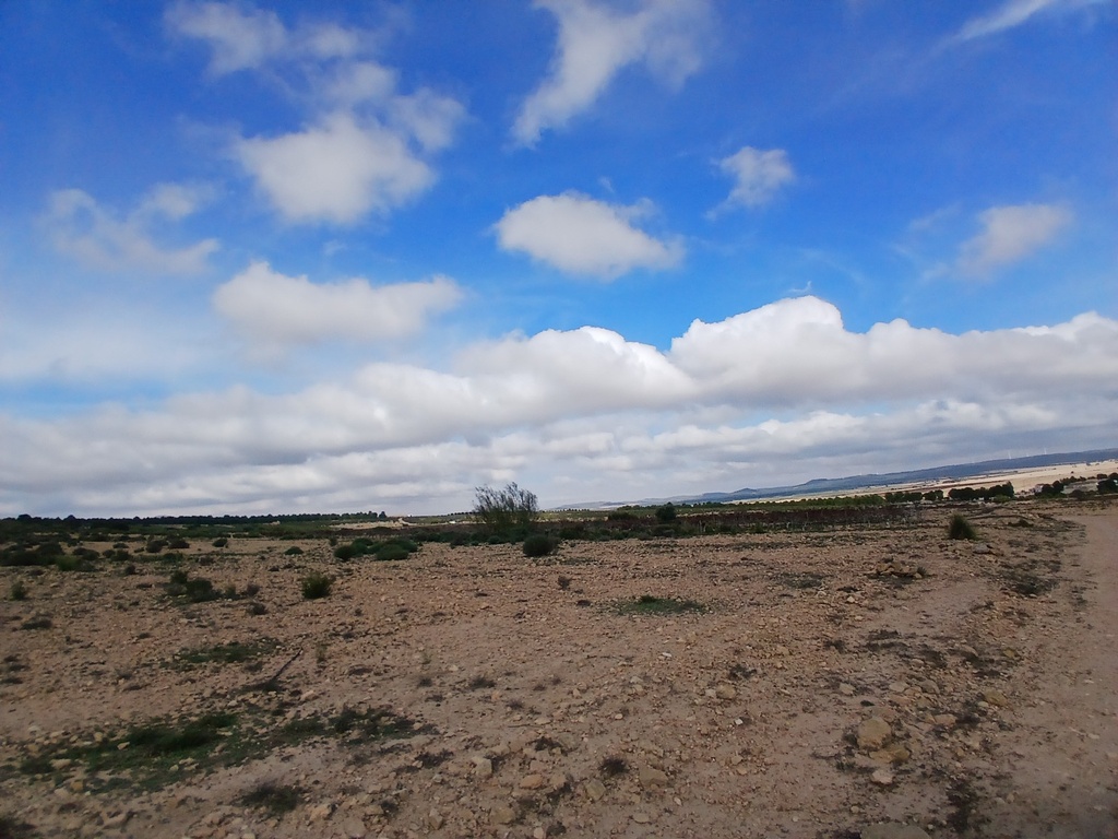 Moderný Land v Yecla – Inland