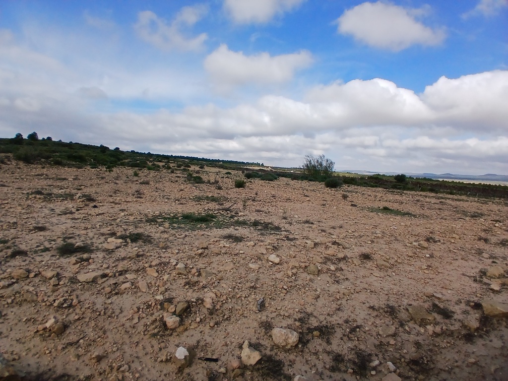 Moderný Land v Yecla – Inland
