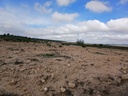 Moderný Land v Yecla – Inland
