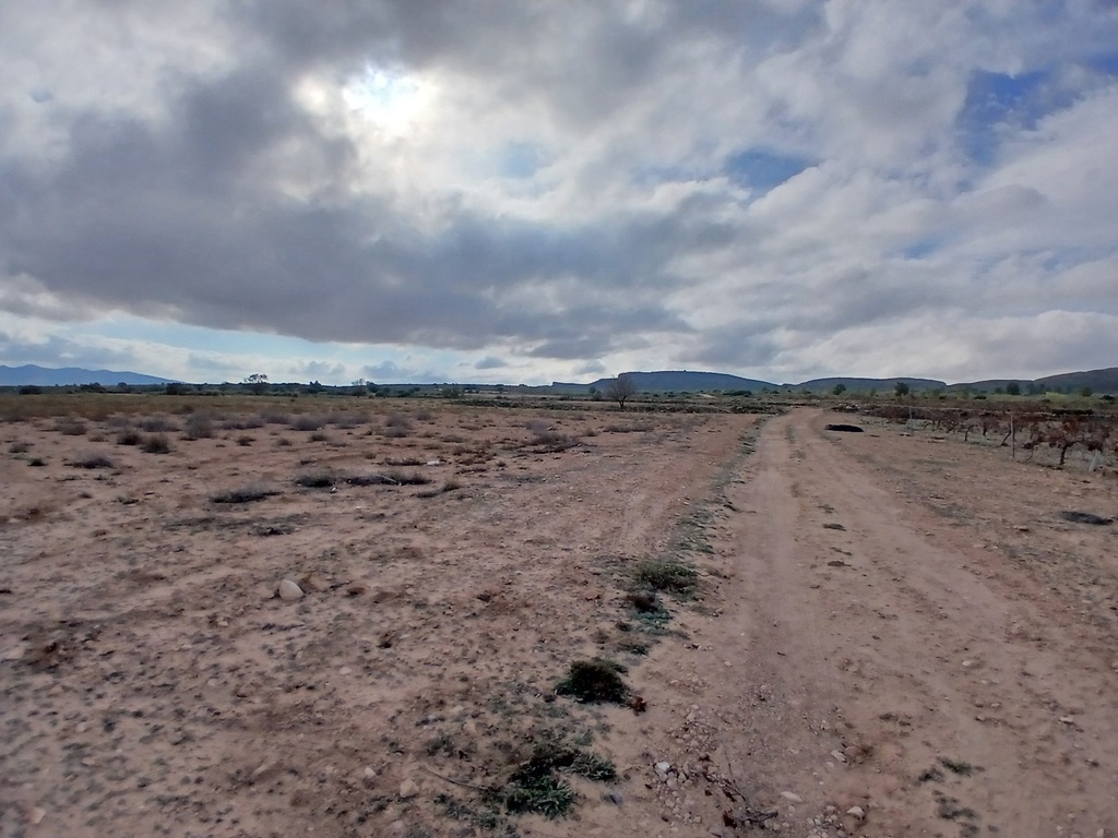 Moderný Land v Yecla – Inland