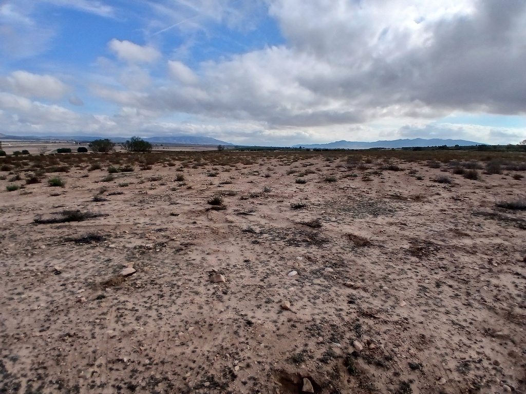 Moderný Land v Yecla – Inland
