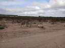 Moderný Land v Yecla – Inland