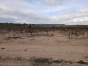 Moderný Land v Yecla – Inland