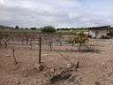Moderný Land v Yecla – Inland