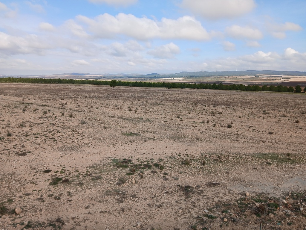 Moderný Land v Yecla – Inland