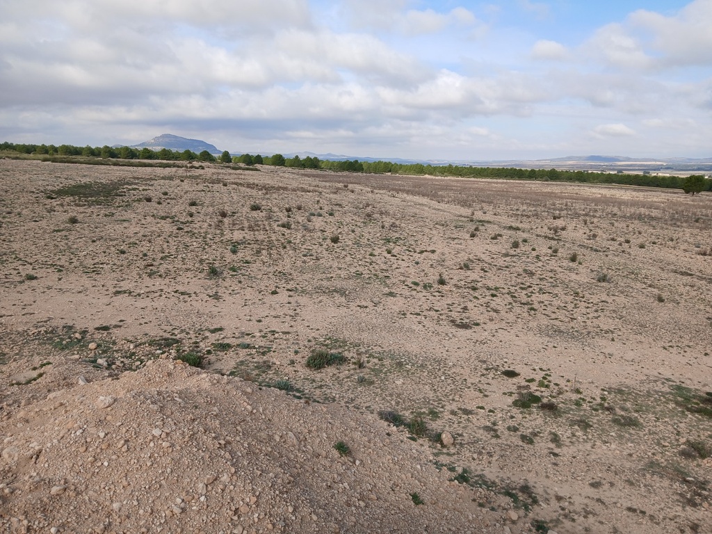 Moderný Land v Yecla – Inland