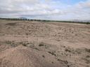 Moderný Land v Yecla – Inland