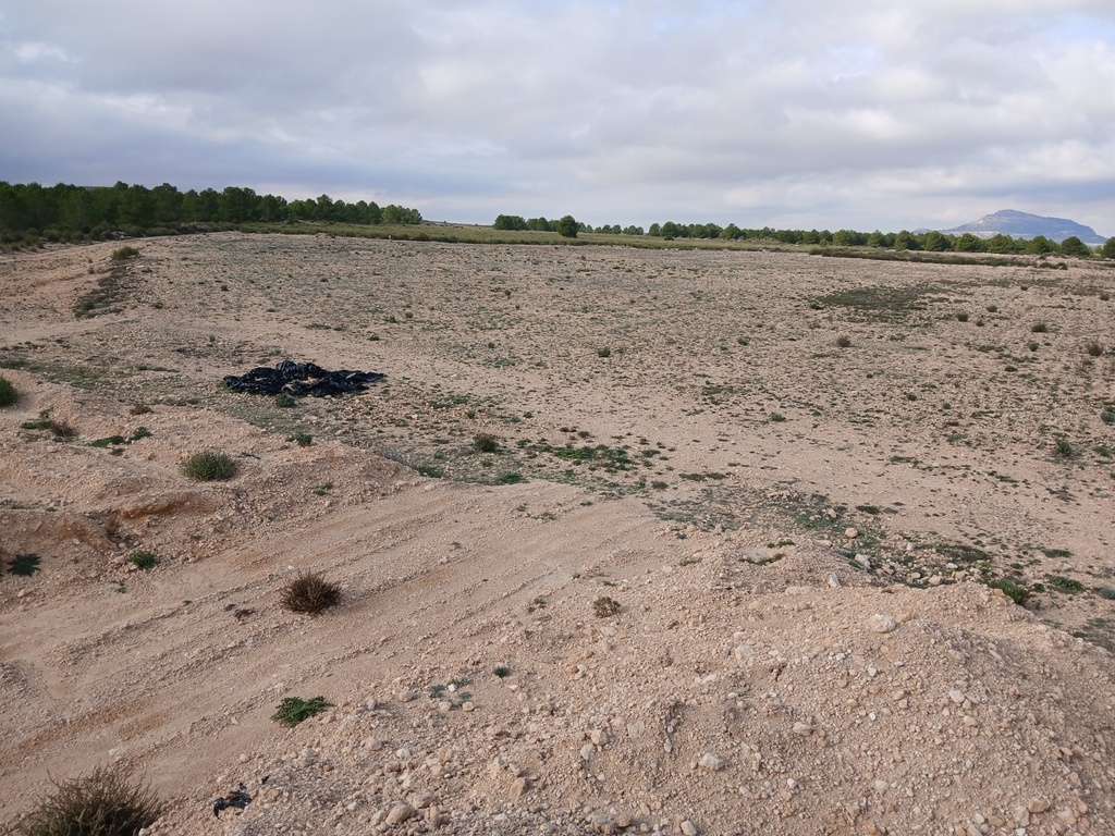 Moderný Land v Yecla – Inland