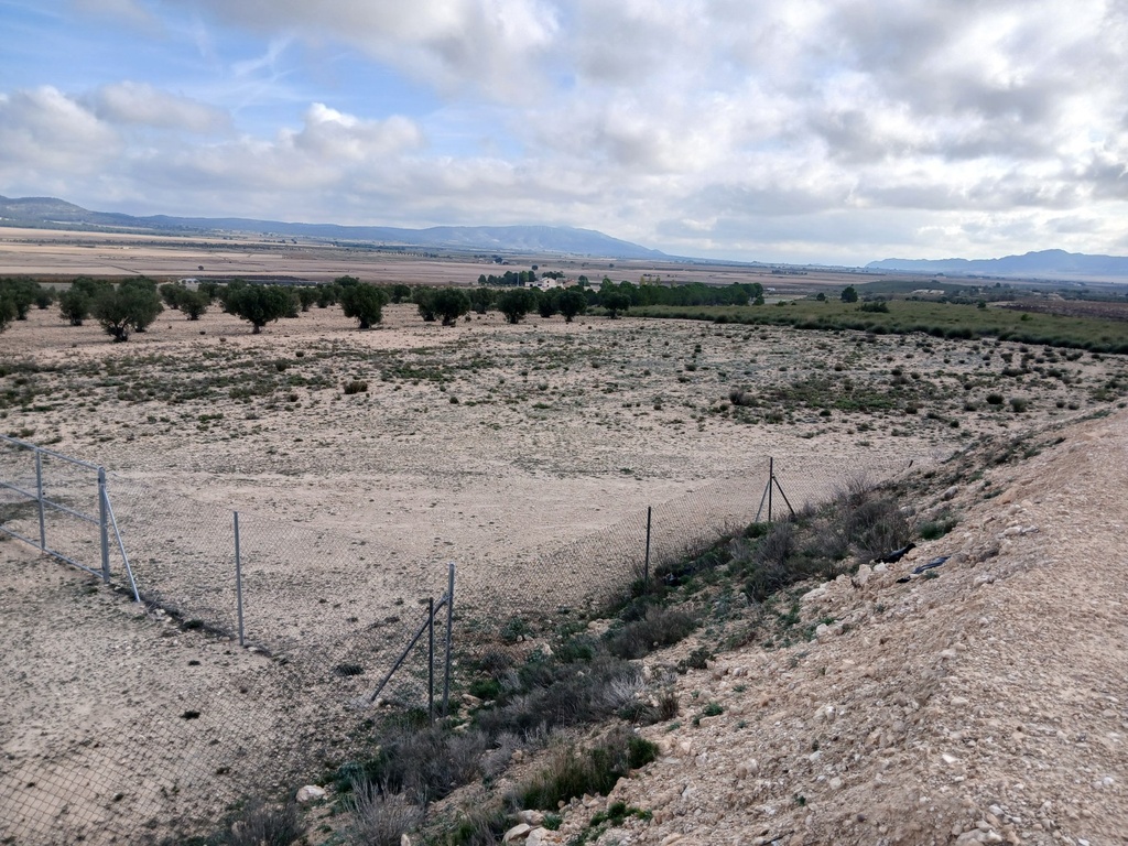 Moderný Land v Yecla – Inland