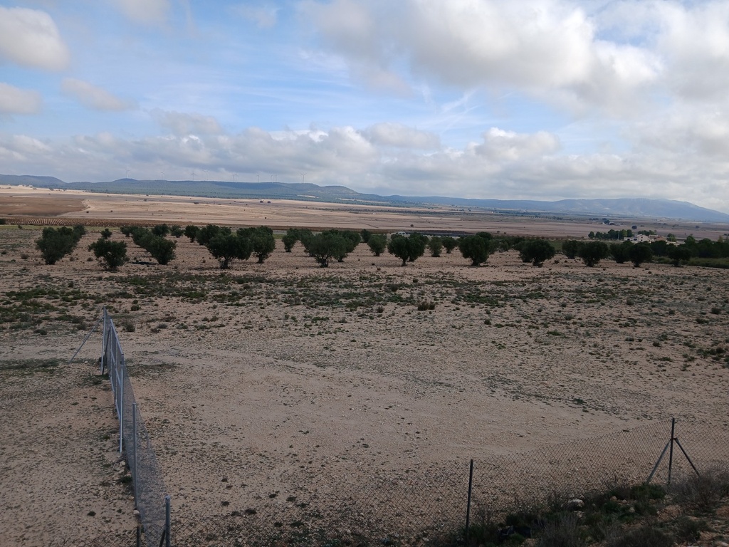 Moderný Land v Yecla – Inland