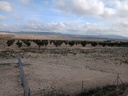 Moderný Land v Yecla – Inland