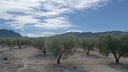 Moderný Land v Salinas – Inland