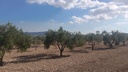 Moderný Land v Salinas – Inland
