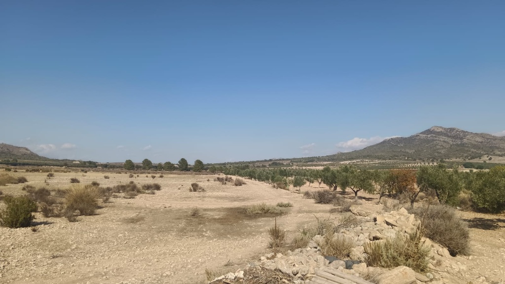 Moderný Land v Salinas – Inland
