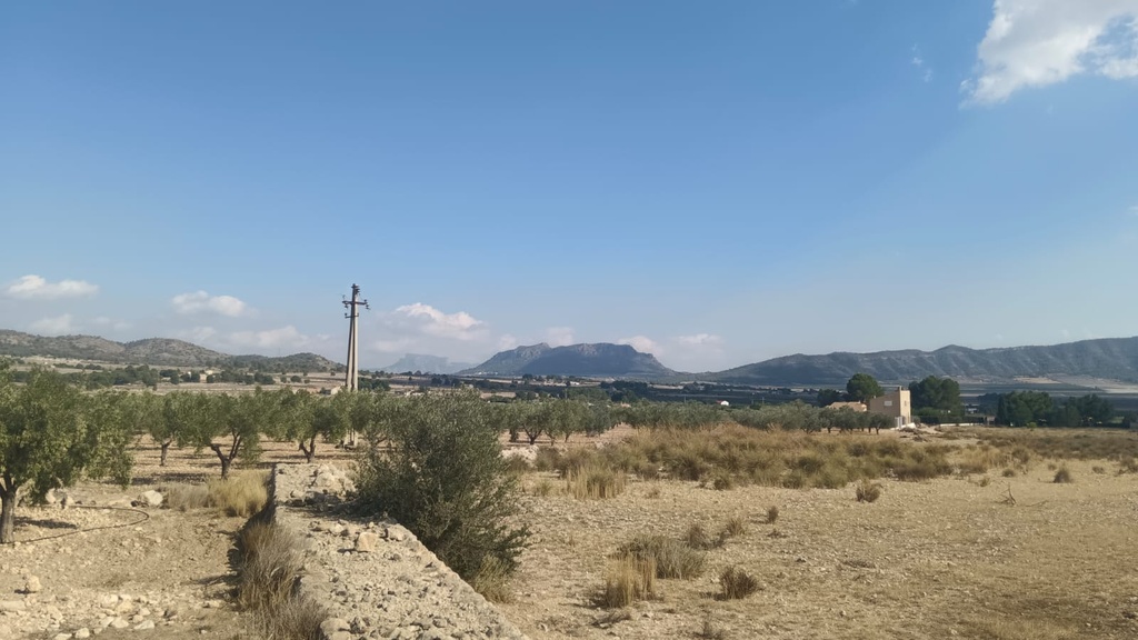 Moderný Land v Salinas – Inland