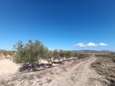 Moderný Property v Jumilla – Inland