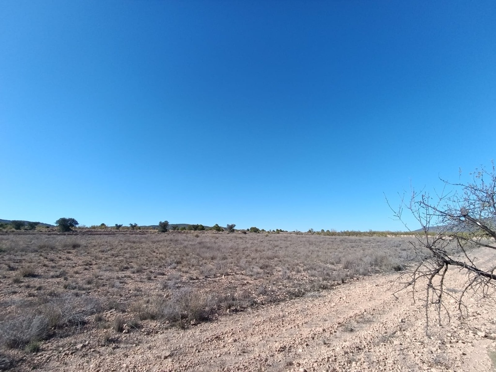 Moderný Property v Jumilla – Inland