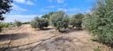 Luxusná vila v Orihuela – Inland