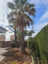 Moderná vila v Orihuela Costa – Campoamor