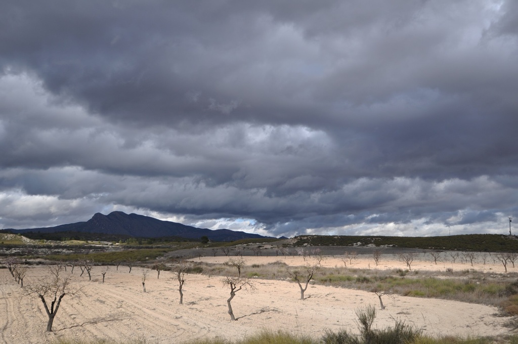 Moderný Property v Jumilla – Inland