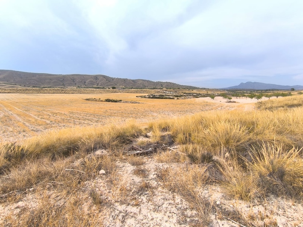 Moderný Property v Jumilla – Inland