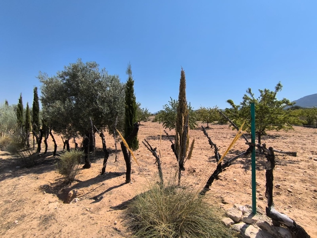Moderný Property v Villena – Inland