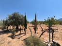 Moderný Property v Villena – Inland