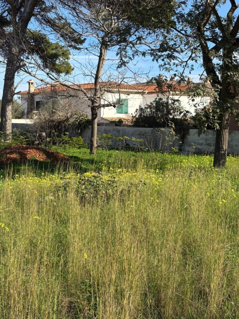 Moderný Land v Denia – Costa Blanca