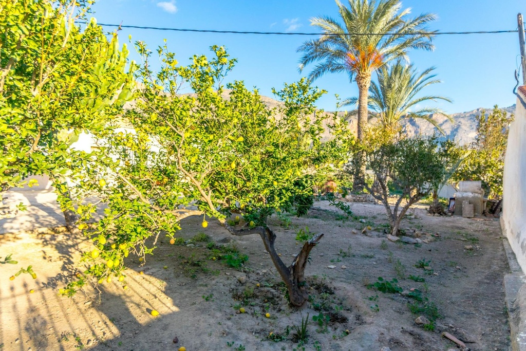 Moderný Finca v Orihuela – Raiguero De Bonanza