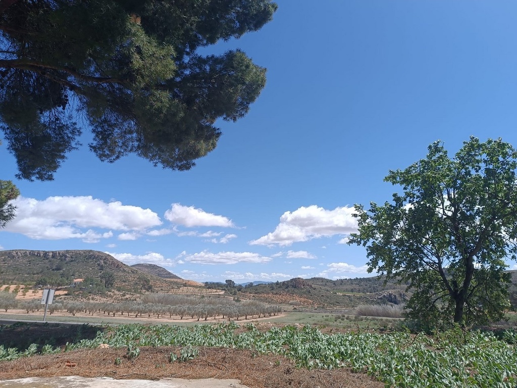Moderný Property v Yecla – Inland