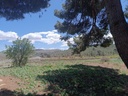 Moderný Property v Yecla – Inland