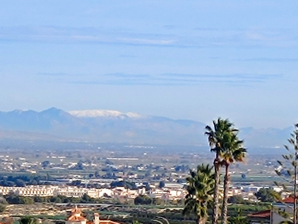 Moderná vila v Algorfa – Inland